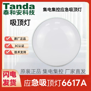 泰和安消防应急照明灯具TS-ZFJC-E3W-6617A吸顶式安装36v集电集控