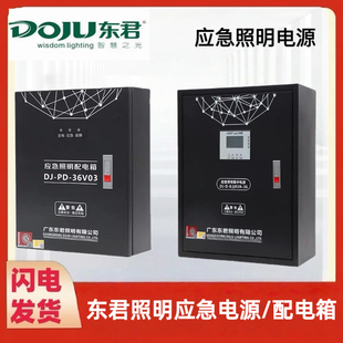 东君消防应急照明控制器A型集中电源主机配电箱安全出口指示牌灯