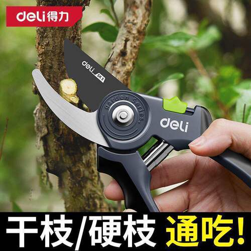 得力修剪树枝剪刀修枝剪果树剪枝专用园林花卉剪子花艺剪园艺剪刀