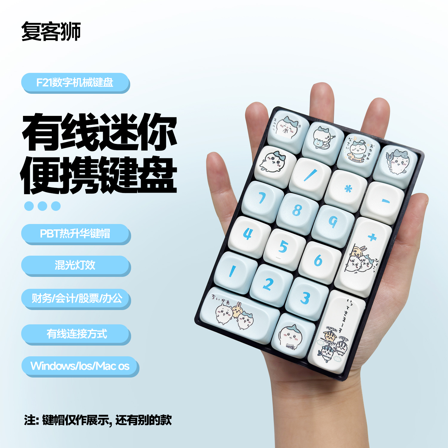 复客狮F21有线数字小键盘