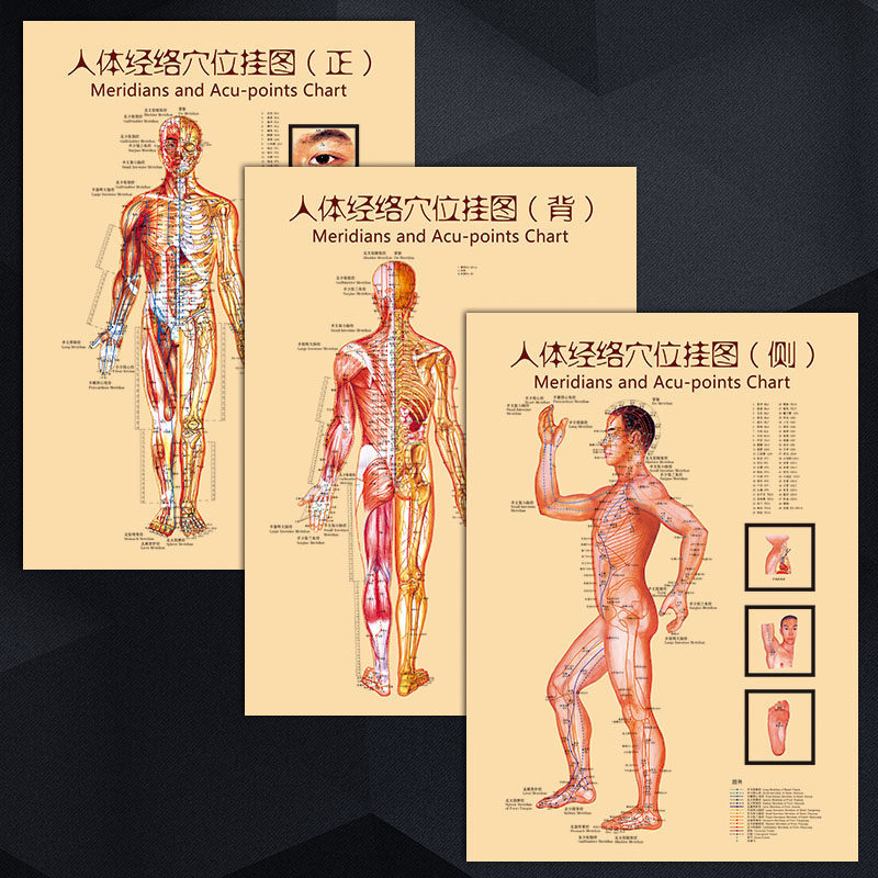 中医海报wsa按摩宣传画示意图挂图人体穴位经络针灸推拿贴纸穴位