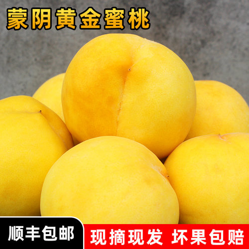 山东蒙阴蒙阴蜜桃金皇后黄桃