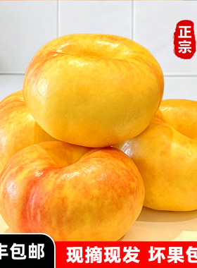 黄油蟠桃新鲜水果甜桃蟠桃蒙阴甜