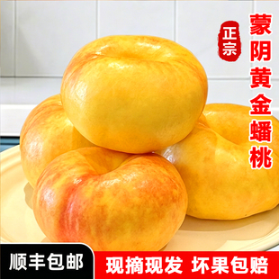 彩虹蟠桃蒙阴蜜桃黄油蟠桃甜脆新鲜水果应季甜桃扁桃4斤顺丰包邮