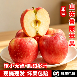 山东鲁丽苹果新鲜当季水果脆甜露天丑苹果非烟台苹果包邮