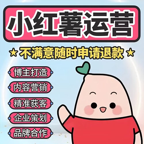 红薯达人孵化内容策划定制化账号诊断小红xhs薯陪跑
