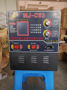 猛将10变24v大功率逆变机头进口大管电子升压器转换器C63