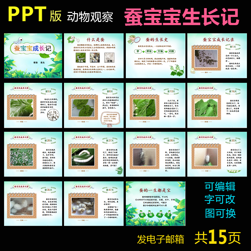 ppt版蚕宝宝生长记小动物成长记录学生科学昆虫观察日记养蚕记