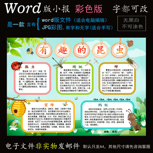 d048昆虫电子小报word模版电脑手抄报小动物蜂蝉蜻蜓蚁瓢虫简报
