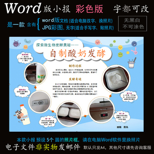 m231自制酸奶电子小报word模板电脑手抄报微生物发酵美食简报