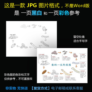 hb279蚕的一生JPG格式图片1款黑白适合涂色手写字和一页彩色参考