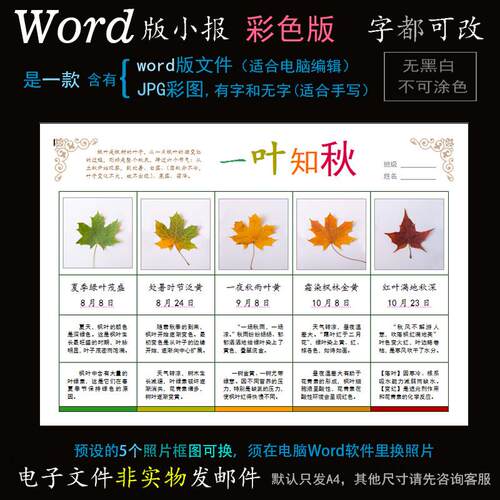 Z162枫叶变化电子小报word模板电脑手抄报秋天植物红叶子观察简报