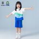 套装 佛山市三水区小学生校服新款 短裤 索罗娜短袖 亲肤透气面料 夏款