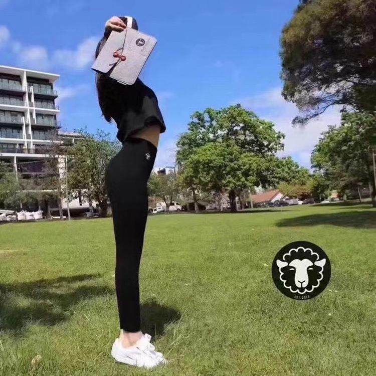 纯原澳洲羊毛裤女款加厚打底裤提臀高腰显瘦可外穿保暖长裤紧身裤
