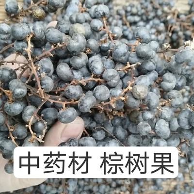 当年新货正品中药材野生无硫棕榈籽棕榈子败棕子棕树果散装