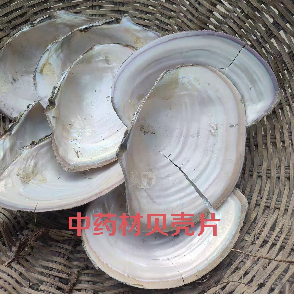 药用河蚌壳 贝壳蚌壳 河蚌壳 河蚌壳 河蚌壳 原装贝壳医用
