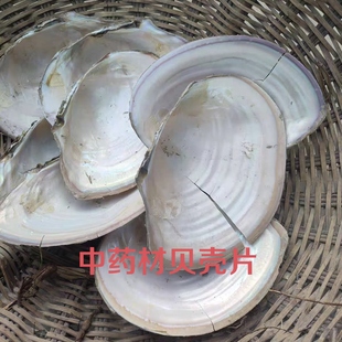 药用河蚌壳 贝壳蚌壳 河蚌壳 河蚌壳 河蚌壳 原装贝壳医用