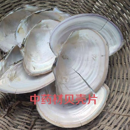 药用河蚌壳 贝壳蚌壳 河蚌壳 河蚌壳 河蚌壳 原装贝壳医用