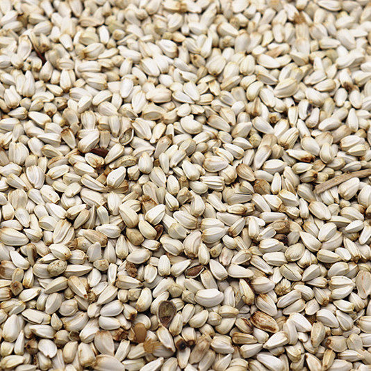 红花子/红花籽/白瓜子 仓鼠 鸟食 鸟粮 鸽粮 500g 5斤包邮