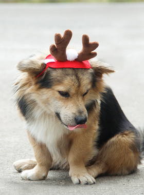 狗狗猫咪圣诞鹿角头箍发夹饰品圣诞节日头饰节日装扮派对扮酷复古