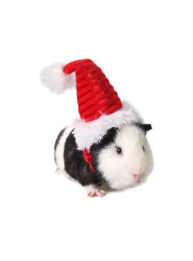 小宠圣诞帽豚鼠小奶猫龙猫圣诞节装扮头饰衣服宠物拍照节日变装