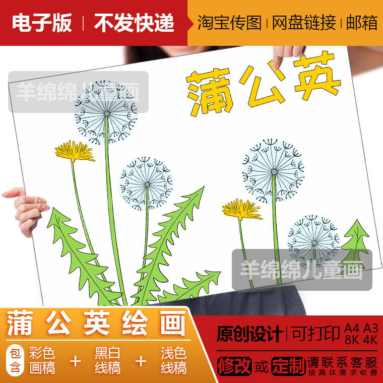 蒲公英儿童绘画模板电子版黑白线稿打印涂色春天植物记录卡片小报