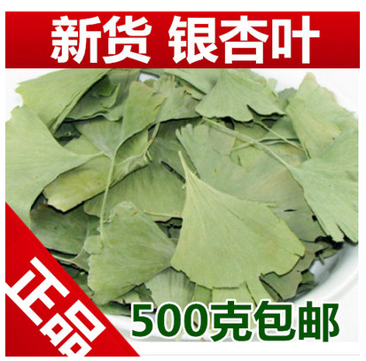 银杏叶茶 干银杏叶片特级 500g包邮中药材店铺非同仁堂中草药
