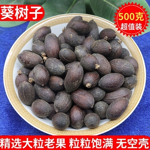 葵树子野生中药材500g精选广西大粒葵树籽老果葵扇子葵扇籽蒲葵籽