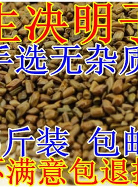 生决明子 草决明 枕头芯专用成人 5斤批 发装 儿童游乐场玩具沙池
