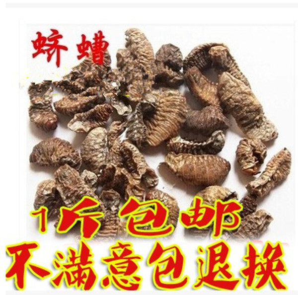 中药材 蛴螬 鸡母虫 鸡婆虫 土蚕 老母虫 白时虫 500克包邮
