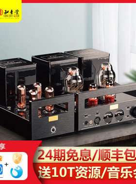 Cayin/凯音 HA-300MK2真空电子管耳放HA300B二代胆机HIFI放大器