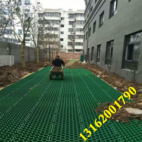 厂家直销停车场消防通道植草格塑料草坪格消防道人行通道绿化种植