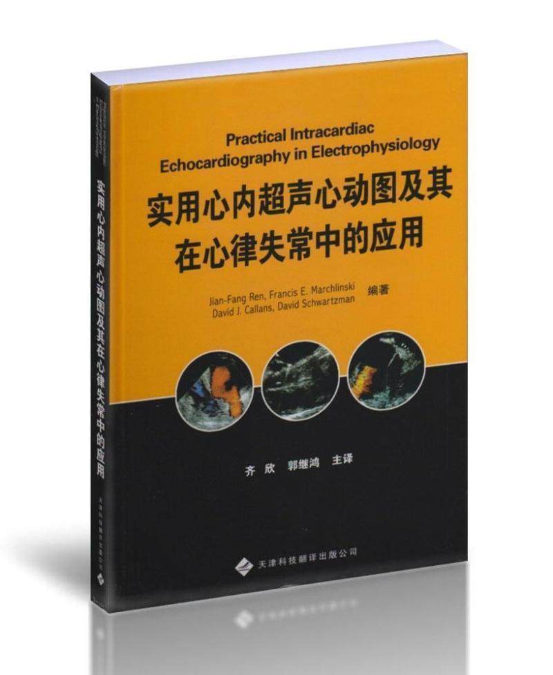 正版 实用心内超声心动图及其在心律失常中的应用 齐欣编  天津科技