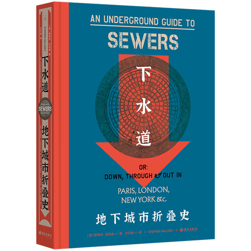 病玫瑰系列：下水道理想国