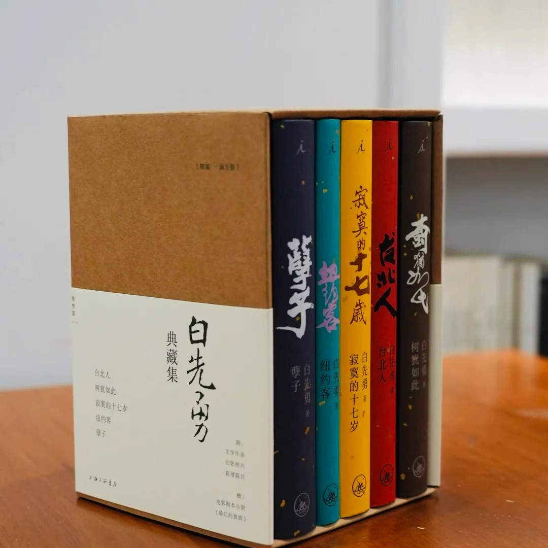 白先勇典藏集函套版孽子