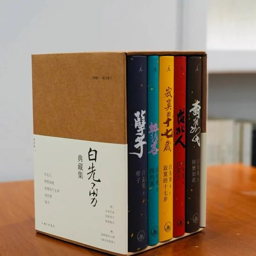 白先勇典藏集函套版孽子