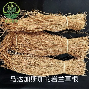 2025年马达加斯加岩兰草香根草纯露精油香薰原材料包邮