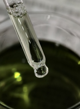 云南香叶天竺葵单方精油  玫瑰气味香平油脂亮肤色10ml