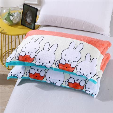 枕套法兰绒保暖一对装成人学生单人秋季冬季爆款枕头套毛绒枕头皮