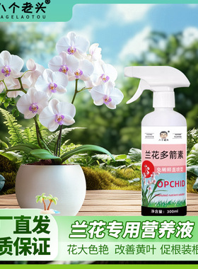 兰花多箭素园艺营养液爆芽多箭花色艳丽花期长多箭促花叶片增绿.