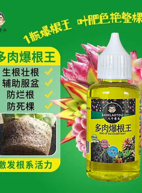 八个老头多肉爆根王快速生根液壮苗剂多肉植物专用养花水肥营养液