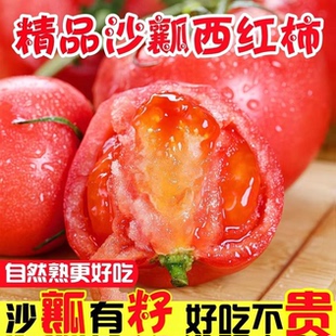 河南沙瓤西红柿新鲜自然成熟老品种番茄生吃农家自种精品水果酸甜