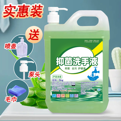 芦荟餐厅清洁散装洗手液促销包邮
