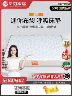 凤阳超薄独立弹簧床垫家沉默乳胶环保垫3D内部脊柱保护席梦思公司