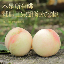 正宗宁波胡陈水蜜桃新鲜桃子应当季水果整箱水密桃湖景白凤桃礼盒