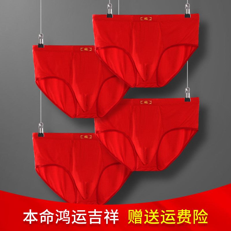 3本命年男士三角内裤男短裤高腰加肥加大码红色莫代尔透气肥佬胖子