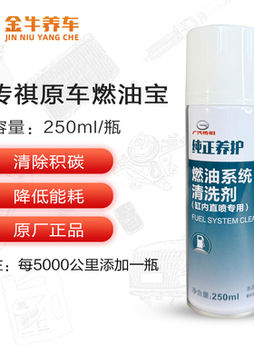 广汽传祺GS3GS4GS5GS8GM6GM8缸内直喷燃油系统清洗剂燃油添加剂