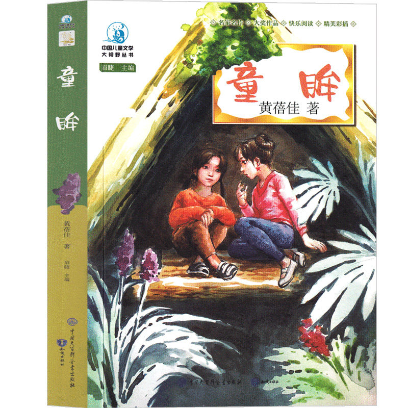 正版 童眸 黄蓓佳少年儿童倾情小说系列成长读物中国儿童文学大视野