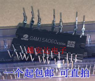 全新原装GAM15A060 GAM10A060 SCM1242MF SCM1243MF假一赔十 现货