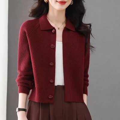 清仓新款春秋外搭短款翻领毛衣小外套女洋气配裙子上衣针织打底衫